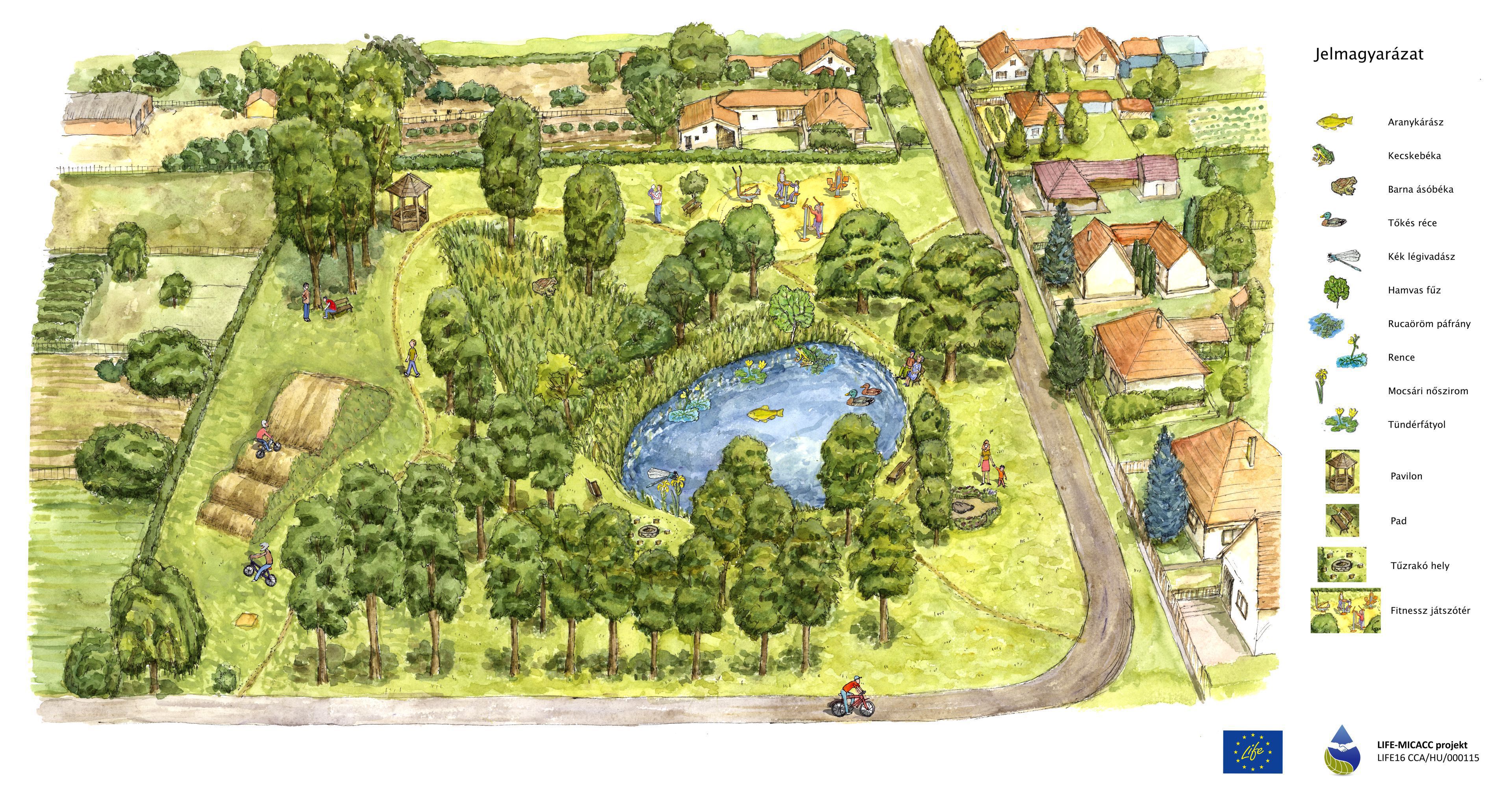 Fantasy plan of a pond created by preserving decanted water in the Dózsa Park in Ruzsa (Created by Kinga Csaba, Csilla Ruzics)