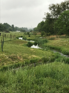 Back-bending of a stream section in Hostovice