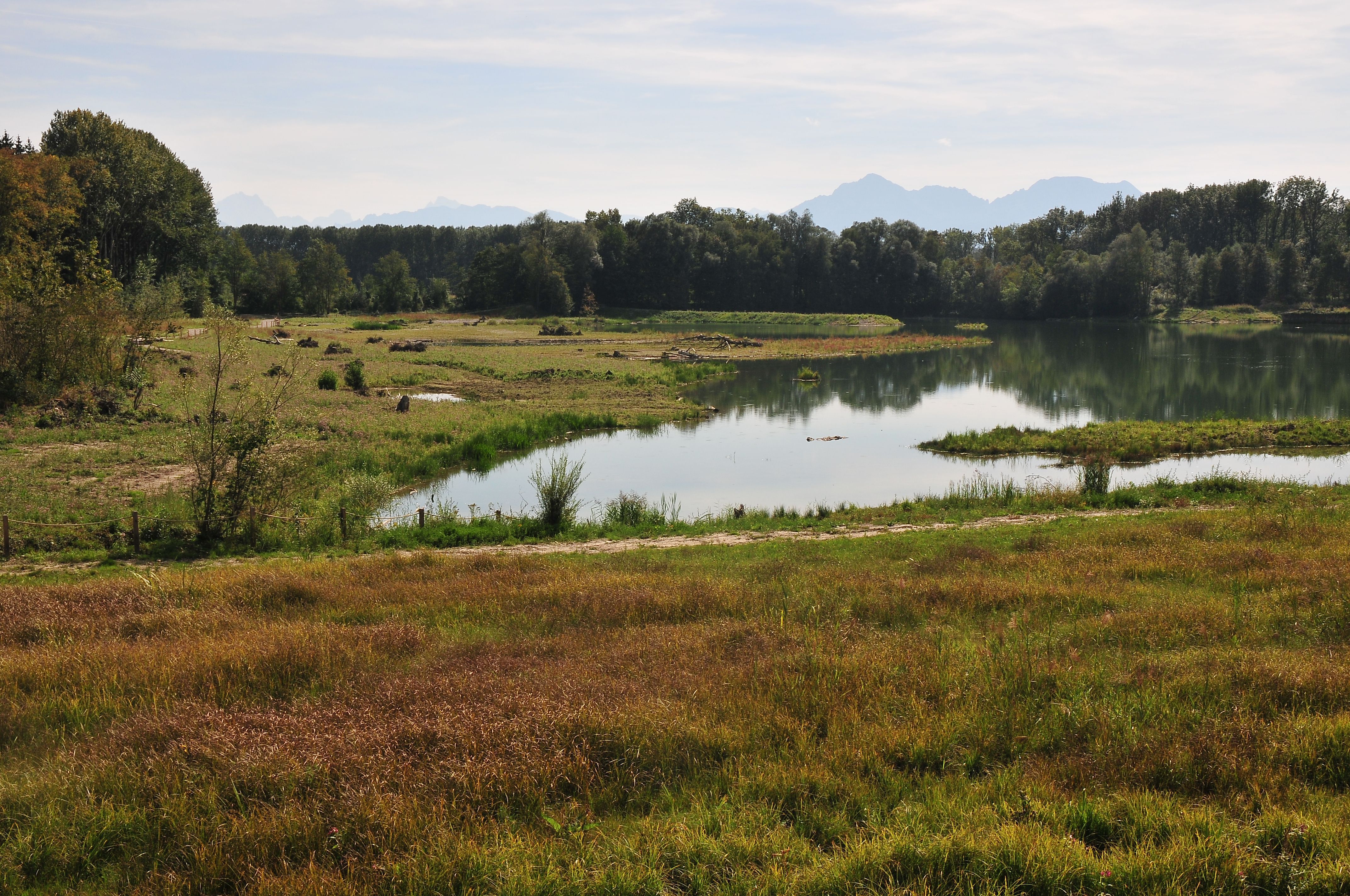 The lake in the rehabilitated floodplain functions as a wetland habitat; it favours natural species and improves the water balance of the floodplain.