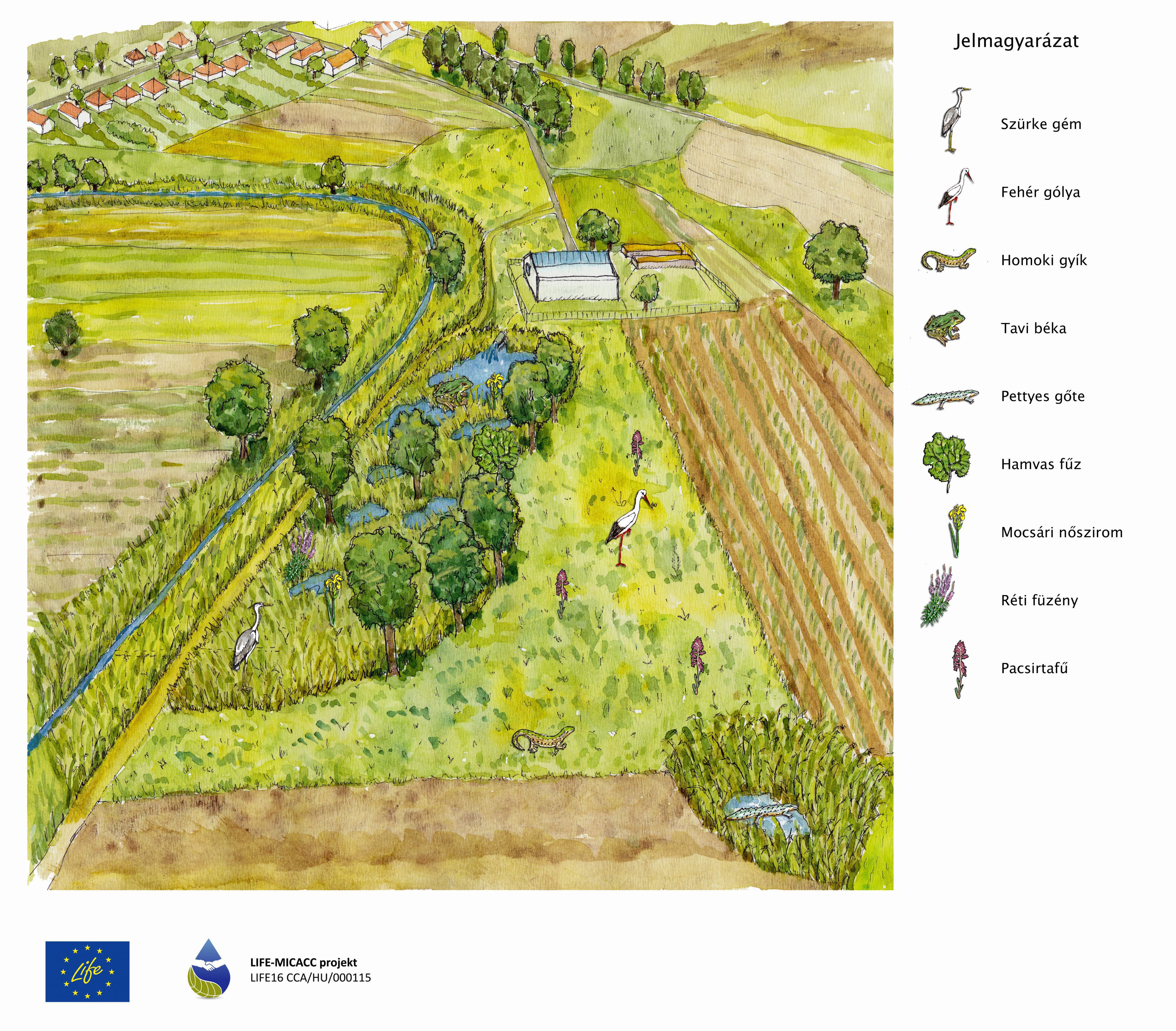 Future plan for a water habitat based on the water of the Ruzsa wastewater management plant (Created by Kinga Csaba, Csilla Ruzics)
